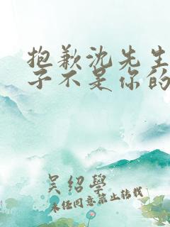 抱歉沈先生,孩子不是你的短剧合集