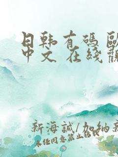 日韩有码 欧美中文 在线观看