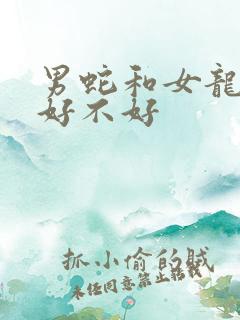 男蛇和女龙婚配好不好