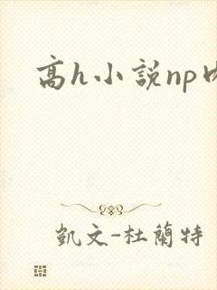 高h小说np肉