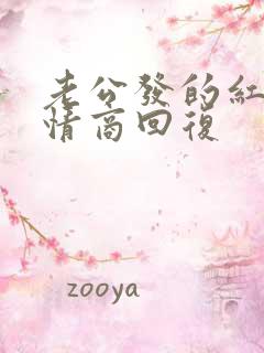 老公发的红包高情商回复