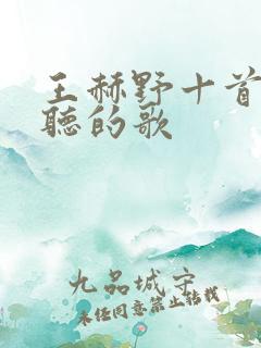 王赫野十首最好听的歌