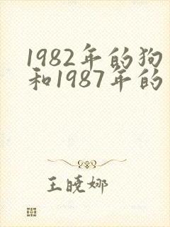 1982年的狗和1987年的兔相配吗