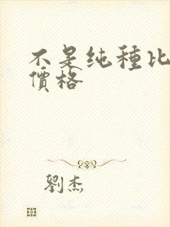 不是纯种比熊犬价格