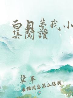 白日梦我小说全集阅读