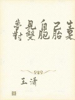 梦见自己生了两对双胞胎是什么意思