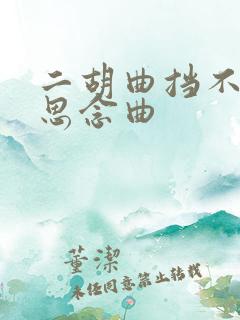 二胡曲挡不住的思念曲