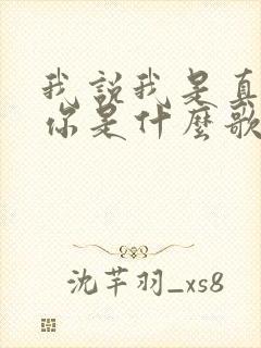 我说我是真的爱你是什么歌的歌词