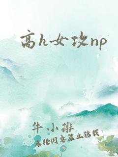 高h女攻np