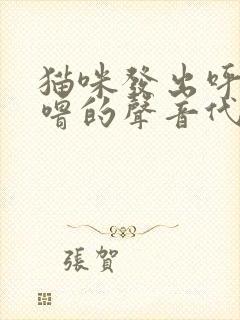 猫咪发出呼噜呼噜的声音代表什么意思