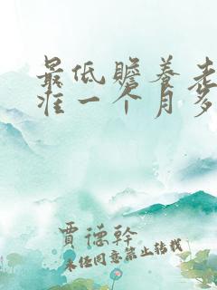 最低赡养老人标准一个月多少钱?