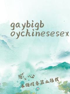 gaybigboychinesesex