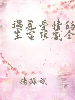 遇见爱情的利先生电视剧全集剧