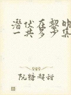 潜伏在黎明之前一共多少集