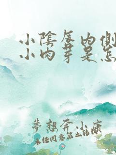 小阴唇内侧长了小肉芽是怎么回事