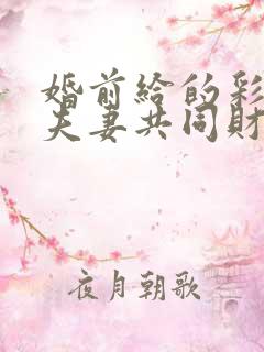 婚前给的彩礼算夫妻共同财产么