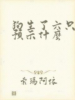 狗生了六只小狗预示什么