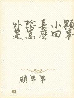 外阴长小颗粒痒是怎么回事