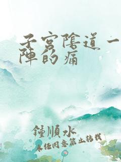 子宫阴道一阵一阵的痛