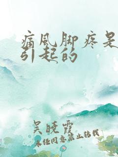 痛风脚疼是怎么引起的