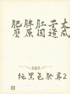 肥胖肚子大是什么原因造成的