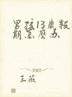 男孩13岁叛逆期怎么办