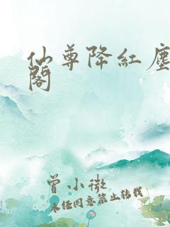 仙尊降红尘笔趣阁