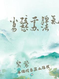 小孩子脾气暴躁易怒办法