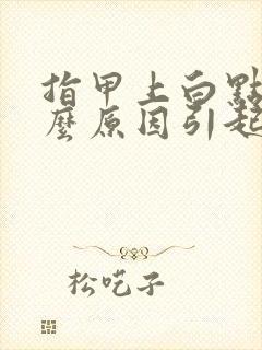 指甲上白点是什么原因引起的