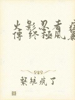 火影忍者 疾风传 终极风暴4