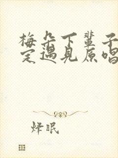 梅朵下辈子不一定遇见原唱