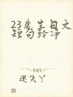 23岁生日文案短句干净