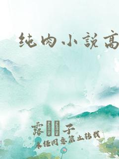 纯肉小说高黄