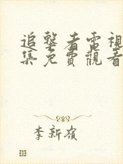 追击者电视剧全集免费观看完整版