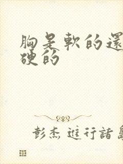 胸是软的还是有硬的