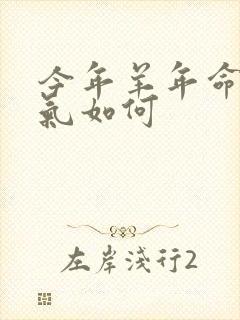 今年羊年命运运气如何