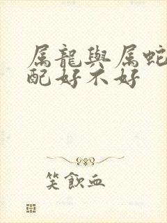 属龙与属蛇的婚配好不好