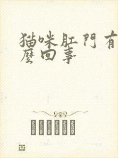 猫咪肛门有血怎么回事