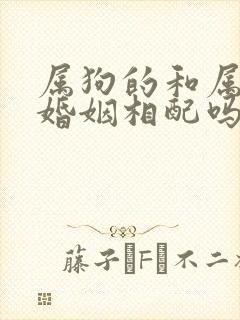 属狗的和属兔的婚姻相配吗