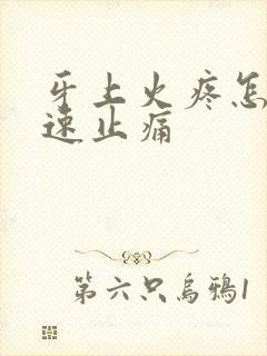 牙上火疼怎么快速止痛