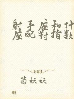 射手座和什么星座配对指数