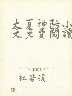 大夏神防小说全文免费阅读