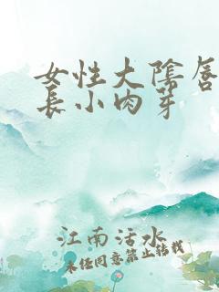 女性大阴唇内侧长小肉芽