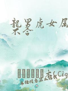 龙男虎女属相合不合