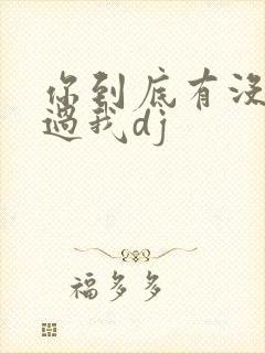 你到底有没有爱过我dj