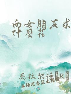 向女朋友求婚送什么花