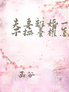 夫妻离婚一个孩子抚养权怎么判定