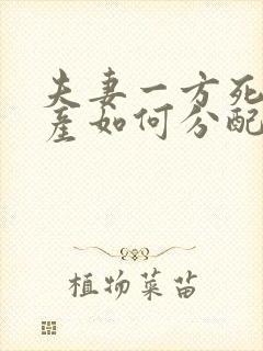 夫妻一方死了财产如何分配