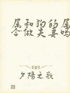 属和狗的属相适合做夫妻吗