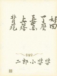 背上长了好多小疙瘩怎么回事